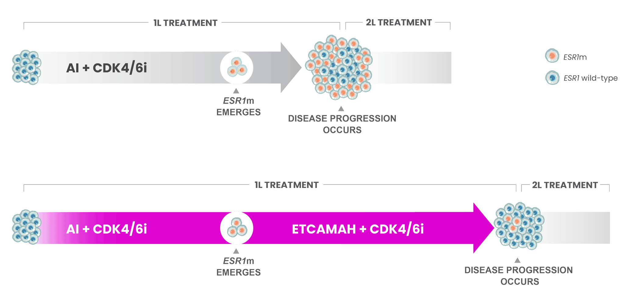 ETCAMAH + CDK4/6i vs AI in ESR1m+ HR+ mBC