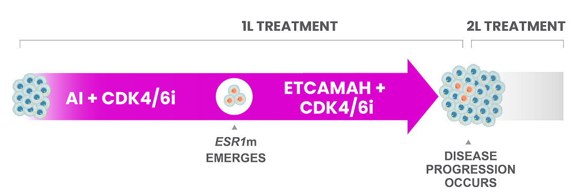 ETCAMAH + CDK4/6i vs AI in ESR1m+ HR+ mBC