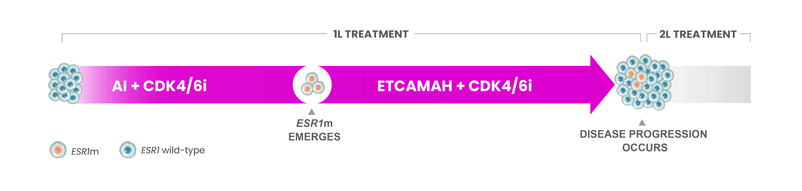 Treatment Timeline Showing ESR1 Mutation Emergence And Disease Progression With ETCAMAH Plus CDK4/6 Inhibitor