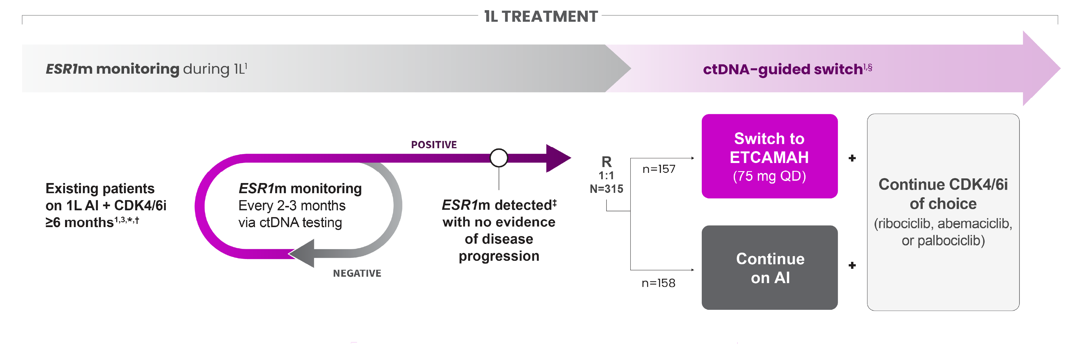 ESR1 Mutation Monitoring in 1L HR+ HER2- mBC with ctDNA-guided Switch to ETCAMAH Plus CDK4/6i