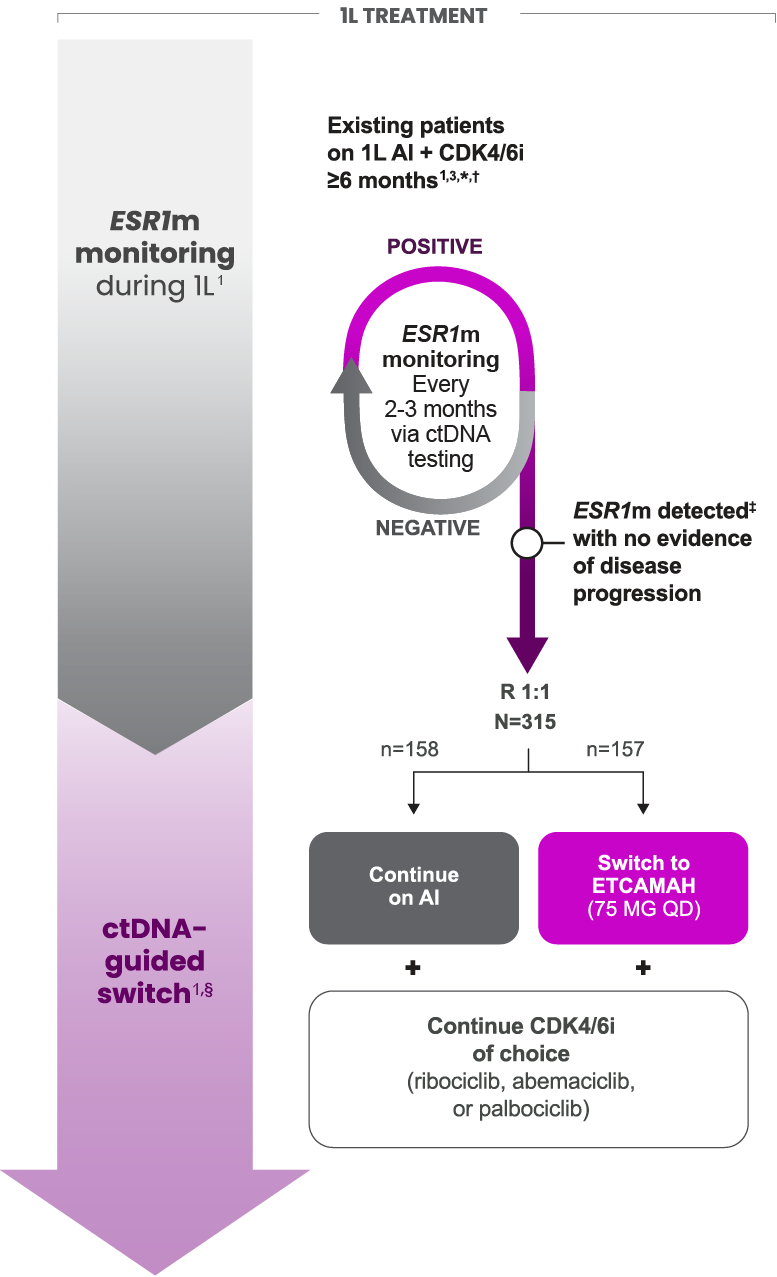 ESR1 Mutation Monitoring in 1L HR+ HER2- mBC with ctDNA-guided Switch to ETCAMAH Plus CDK4/6i